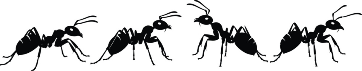 Ant silhouettes collection, detailed insect illustration set, walking ant poses, nature bug graphic design, entomology artwork for projects