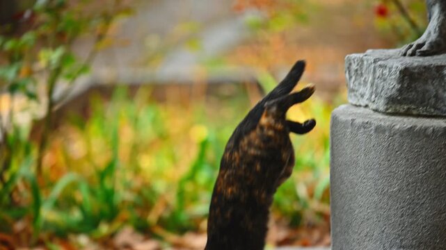A black and brown cat is jumping down from a stone statue