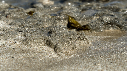 Close view of the transition from sandy shore to reef flat with coral rock, shallow water, and textured natural details.