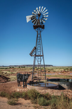 A black cow stands beside a water tank and a tall vintage Aermotor windmill on a red dirt ranch in the high desert.