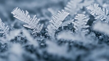 A macro view of frost crystals showing sharp jagged edges intricate patterns Softfocus background enhances detail - Powered by Adobe