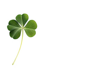 A green four-leaf clover isolated on a clean white background. symbolizing good luck and fortune. perfect for use in themed designs or nature-related content