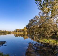 Calm lake with a tree in the foreground