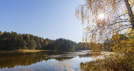 Lake with a tree in the background
