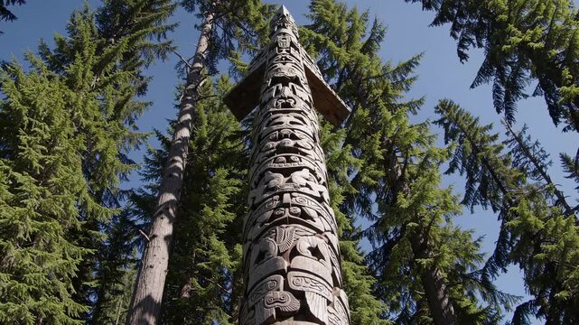 Low-angle video shot of a tall, intricately carved totem pole surrounded by lush green trees against a clear blue sky, emphasizing cultural heritage.