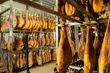 Batch of high quality ham from natural meat is dried at the factory. Process of making jamon