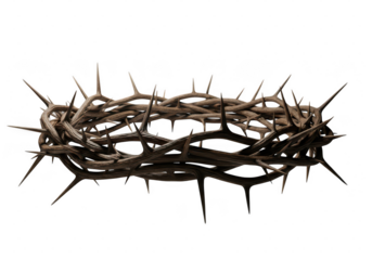A realistic crown of thorns made of dark, sharp branches isolated on transparent background