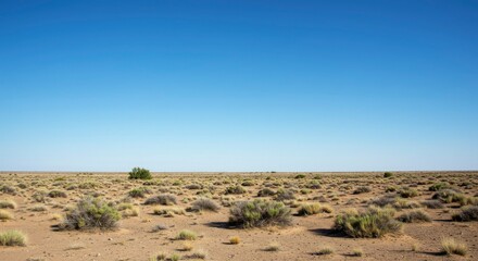 Vast Arid Landscape Under Clear Blue Sky