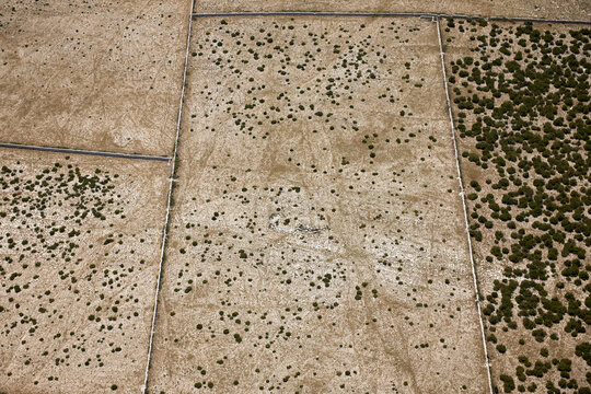 Aerial view of arid fields divided by stone walls creating a patchwork of textures and tones under the harsh sun, Pag, Croatia.