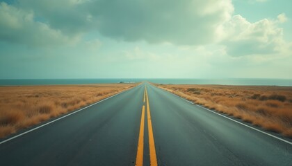 Empty straight asphalt road stretches into vast distance towards calm ocean horizon. Dry golden grass fields line both sides of endless road. Cloudy blue sky above tranquil water. Offers sense of