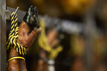 High quality jamon meat close up. Process of making ham from farm pork meat in a factory