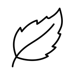Illustration of a leaf with jagged edges and a prominent vein, outlined in black on a white background.