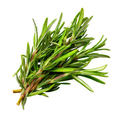 Fototapeta premium Fresh green rosemary sprigs tied together on white background
