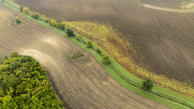 Aerial view of the agricultural landscape, with brown fields contrasting with green grassy strips and the lush forest, Brno, South Moravian Region, Czechia.