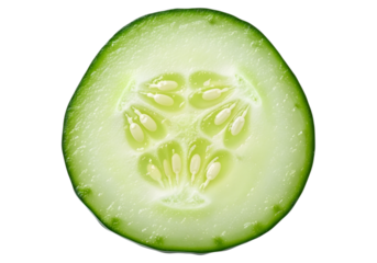 Close up of a single fresh green cucumber slice showing the seeds and texture, isolated on transparent background