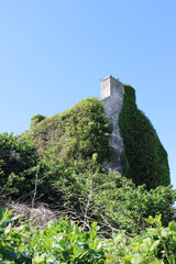 Abandoned stone home covered in ivy in Miltown Mabay, County Clare, Ireland