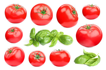 Fresh tomatoes and green basil leaves isolated on white, set