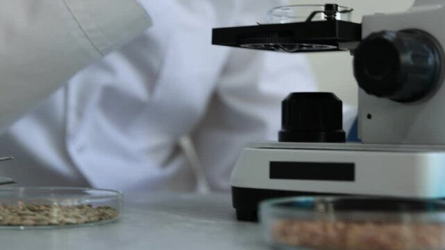 GMO concept. Scientist working with sample of product at table, closeup