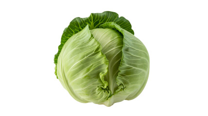 Fototapeta premium Fresh green cabbage head isolated on transparent background