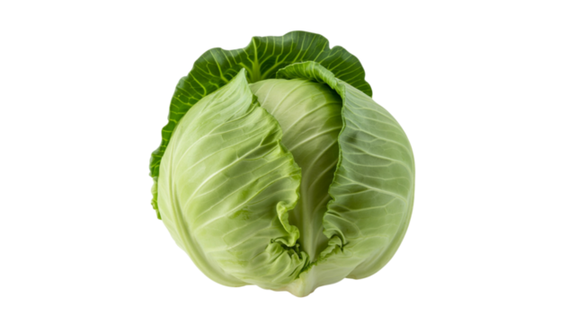 Fresh green cabbage head isolated on transparent background