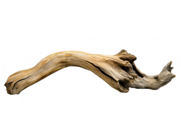 A beautifully weathered piece of driftwood intricate textures and natural curves. set against a clean white background. ideal for artistic displays or nature-themed decor