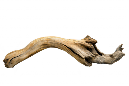 A beautifully weathered piece of driftwood intricate textures and natural curves. set against a clean white background. ideal for artistic displays or nature-themed decor