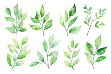 A collection of beautifully illustrated watercolor leaves various shades of green. arranged artistically on a white background. ideal for nature-themed designs or botanical projects