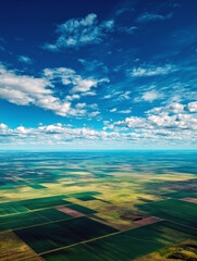 深い青空の下に広がる広大な農地の風景、鳥瞰図