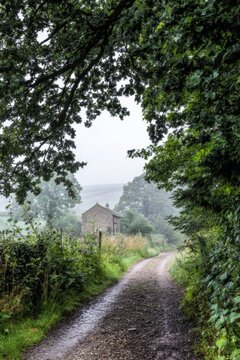 enthalpy. Misty country lane leading to a distant stone cottage. lifestyle magazines, social media lookbooks, designed for influencer and brand collaborations, used by SEO specialists.
