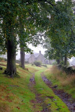 enthalpy. Misty country lane leading to a distant stone cottage. lifestyle magazines, social media lookbooks, designed for influencer and brand collaborations, used by SEO specialists.
