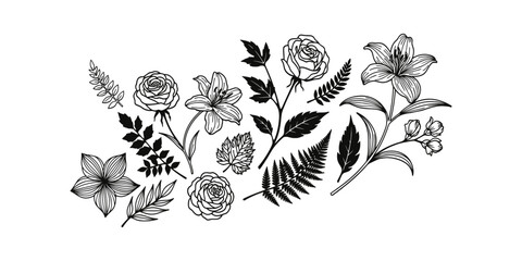 Elegant Hand-Drawn Botanical Illustrations Set.