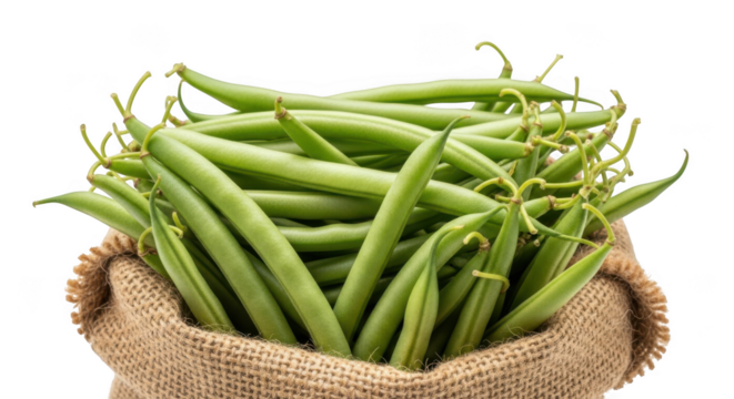 Fresh green beans in a burlap sack isolated on transparent background