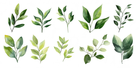A collection of watercolor leaves various shades of green. arranged artistically on a white background. ideal for nature-themed designs and botanical illustrations (1)