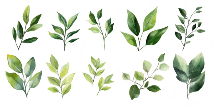 A collection of watercolor leaves various shades of green. arranged artistically on a white background. ideal for nature-themed designs and botanical illustrations (1)
