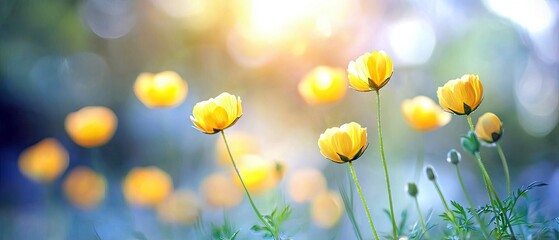Close-up of vibrant yellow flowers in soft focus, bathed in warm sunlight, with a dreamy bokeh background of blue and yellow hues.
