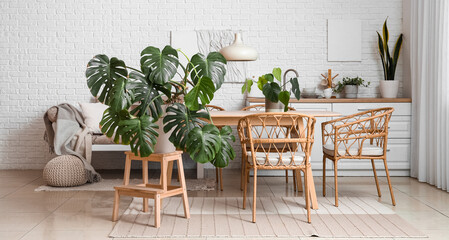 Interior of modern dining room with green houseplants