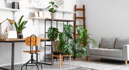 Interior of light office with sofa, workplace and Monstera houseplant