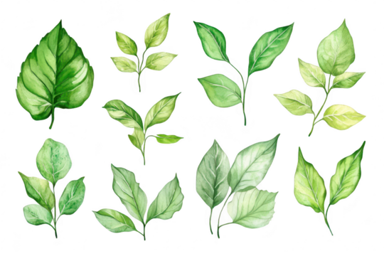 A collection of watercolor leaves various shapes and shades of green. ideal for nature-themed designs. backgrounds. or botanical illustrations - Powered by Adobe
