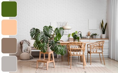 Interior of light dining room with green houseplants. Different color patterns