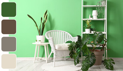 Interior of modern room with armchair, shelf unit and houseplants near green wall