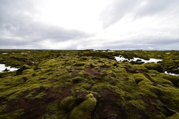 Vast lava field covered with thick green moss in Iceland, creating a surreal and unique landscape under a cloudy sky with patches of snow.