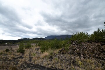 Rugged landscape of Sakurajima's lava field with pine trees and rocks under a dramatic cloudy sky in Kagoshima, Japan.