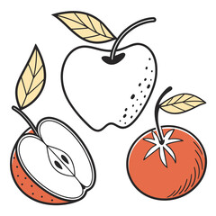 Whimsical hand drawn illustration of a whole apple a halved apple and a tomato with stylized leaves on a white background
