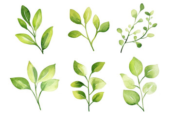A collection of six beautifully illustrated green leaves and branches various shapes and shades of green. perfect for nature-themed designs or botanical illustrations