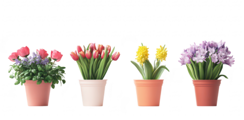 A display of four flower pots featuring blooming tulips. hyacinths. and other colorful plants against a soft. neutral background. ideal for gardening enthusiasts and floral decor inspiration