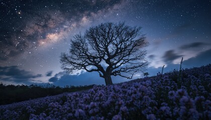 Lone silhouetted tree under a vast starry night sky with milky way