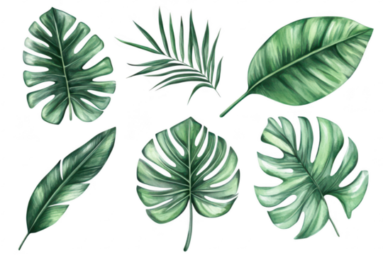 A collection of tropical leaves various shapes and textures. perfect for nature-themed designs. backgrounds. or botanical illustrations (1)