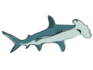 Hammerhead shark in continuous line drawing style.