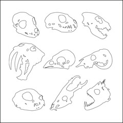 Minimal line art vector collection of various animal skull silhouettes.
