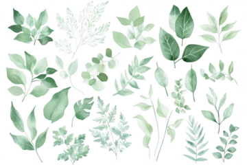 A collection of various green leaves and botanical elements diverse shapes and textures. perfect for nature-themed designs or backgrounds in creative projects